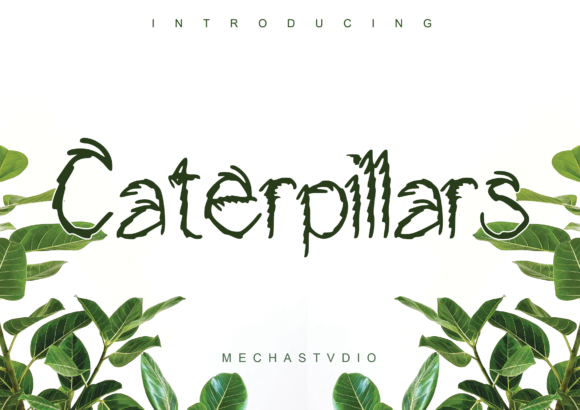 Caterpillars Font for Modern Branding Projects