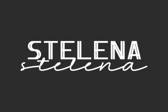 Stelena: A Chic Display Font for Creative Branding