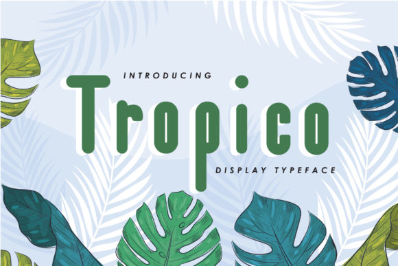 Tropico Display Font for Professional Branding
